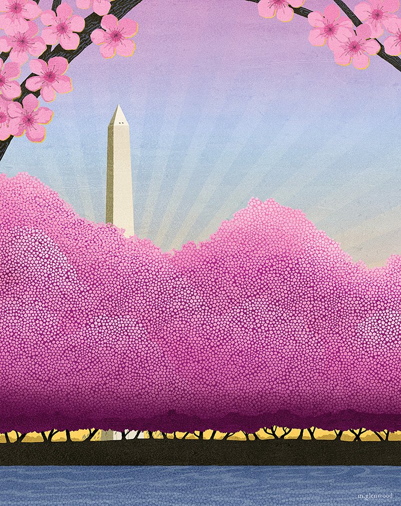 Cherry Blossom poster